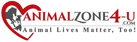 Animal Zone 4 You